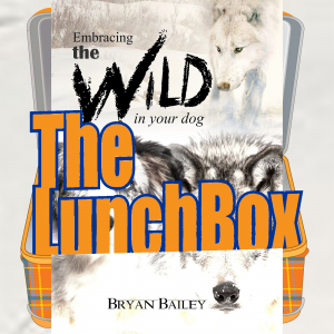 LunchBox-BryanBailey