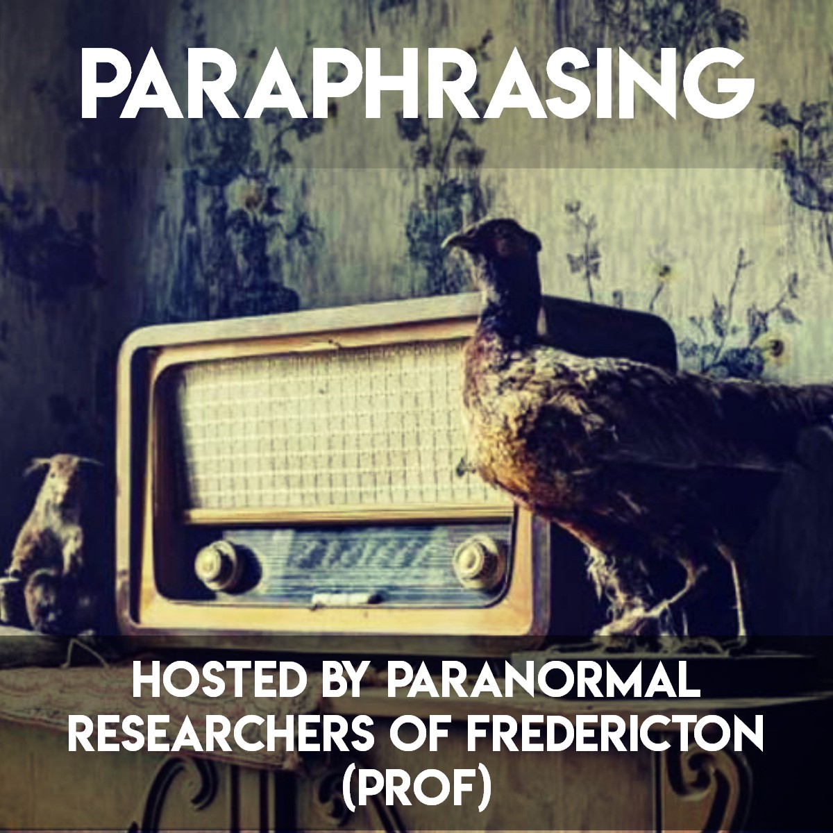 CHSR-FM 97.9 | ParaPhrasing – Meet PROF!