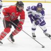 Two hockey players. One carrying the puck, the other chasing it.