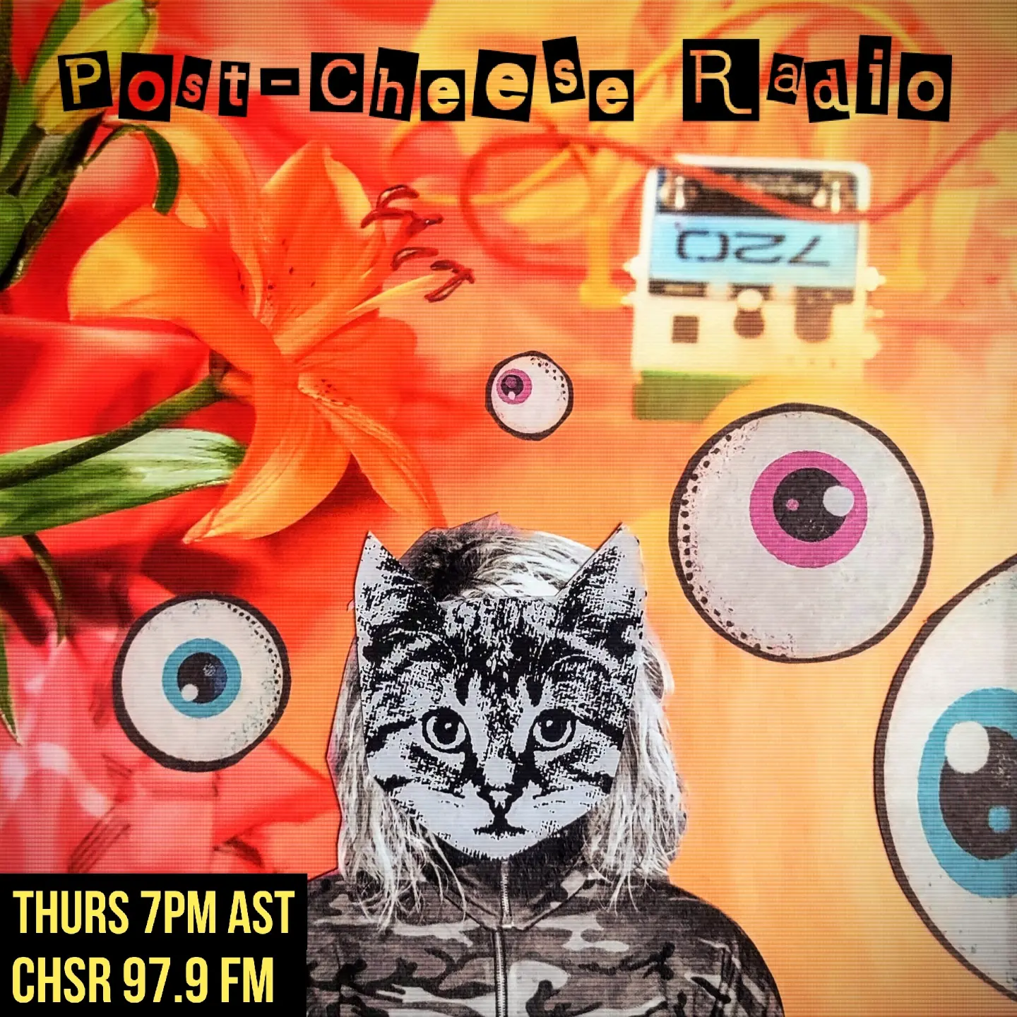 Collage art for Post-Cheese Radio featuring an Electro-Harmonix guitar pedal, floating eyeballs, and a cat's head on a human body. Flower for the backdrop.